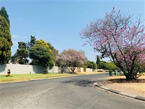 4 Bed House in Sunninghill