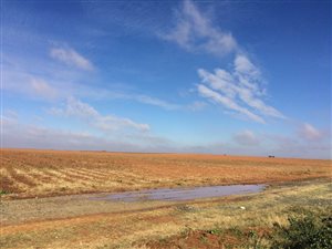 233 ha Farm in Soutpan