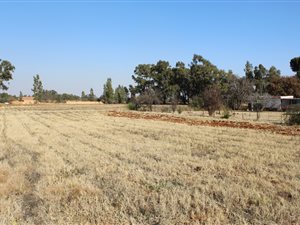 1.6 ha Land available in Kookrus