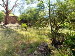 60 ha Land available in Pinehaven