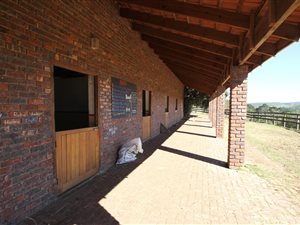 16 ha Farm in Robberg