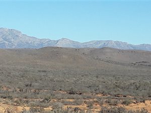 417 ha Farm in Ladismith