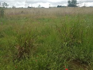 1060 m² Land available in The Ridge Estate