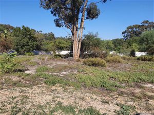 1933 m² Land available in Penhill