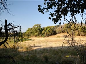1 ha Land available in Zandspruit Bush and Aero Estate