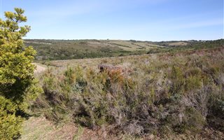 1692 m² Land available in Brackenridge