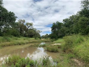 1500 ha Farm in Hoedspruit