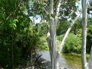 220 m² Land available in Wemmershoek