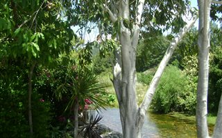 220 m² Land available in Wemmershoek