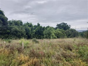 1 ha Land available in Mooikloof Equestrian Estate