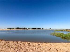 2768 ha Farm in Piketberg