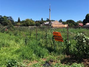 248 m² Land available in Brixton