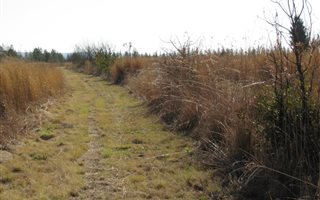 4 ha Land available in Mooiplaats AH