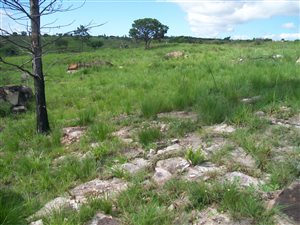 1017 m² Land available in Margate