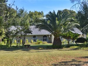 3 ha Farm in Bainsvlei