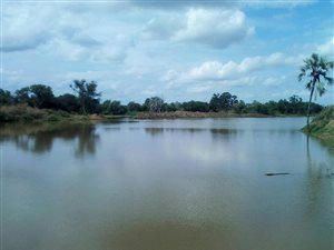 1323 ha Farm in Musina