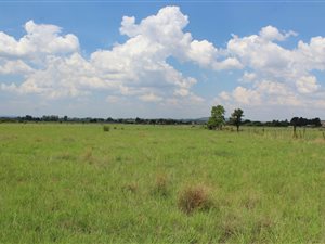 8.6 ha Land available in Wilgeboom