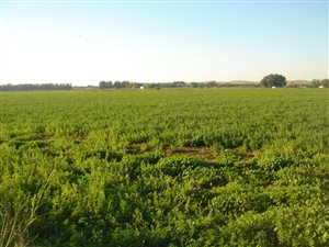 62 ha Farm in Hartswater
