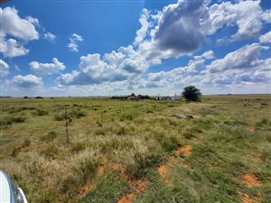 Farm in Boshof