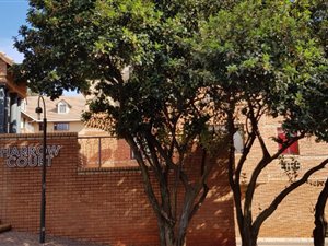 222 m² Office Space in Houghton Estate