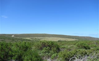 600 m² Land available in Agulhas