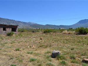 749 m² Land available in Prince Alfred Hamlet
