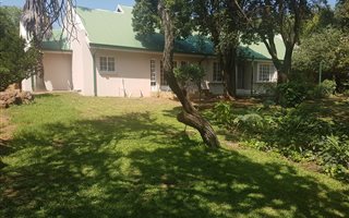 20 ha Farm in Buffelsdrift