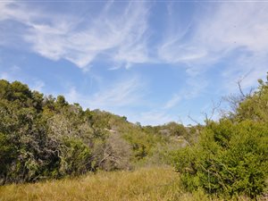 600 m² Land available in Gamtoos Mouth