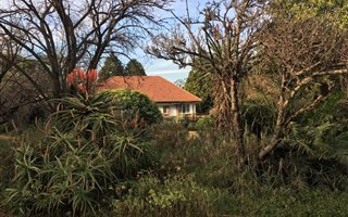 3 Bedroom House in Linden