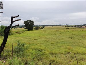 30.4 ha Land available in Marister