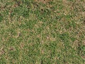 595 m² Land available in Trompsburg