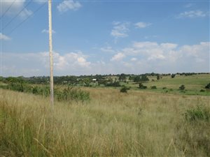 4.5 ha Farm in Laezonia
