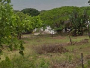 1964 m² Land available in Woodgrange