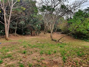 1259 m² Land available in Hibberdene