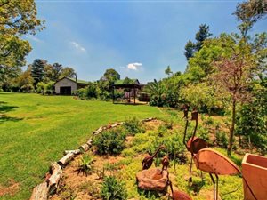 Smallholding in Ruimsig