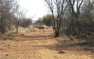 1 m² Farm in Klerksdorp
