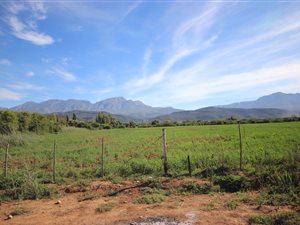 2.3 ha Land available in De Rust