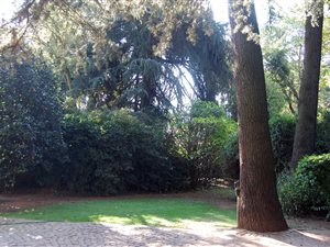1226 m² Land available in Houghton Estate
