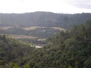 4500 m² Land available in Eastford Downs