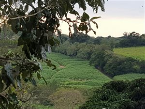 914 m² Land available in Melville