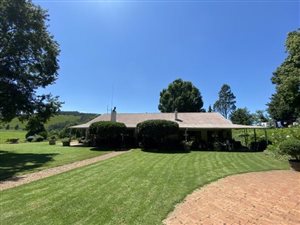 302 ha Farm in Greytown