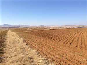 253 ha Farmland in Ficksburg