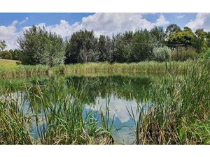 216.7 ha Farm in Sterkfontein and surrounds