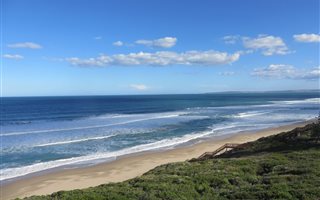 2 Bedroom Apartment in Dana Bay