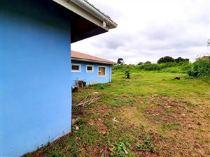 3 Bed House in Howick West
