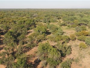 21 ha Farm in Dinokeng