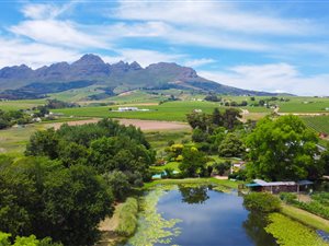 3.4 ha Farm in Stellenbosch Agricultural