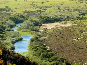 1503 m² Land available in Hartenbos