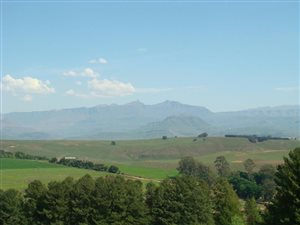 16 ha Smallholding in Underberg