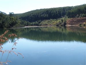 112 ha Farm in Greytown